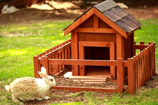 19 Easy Rabbit Room DIY Plans