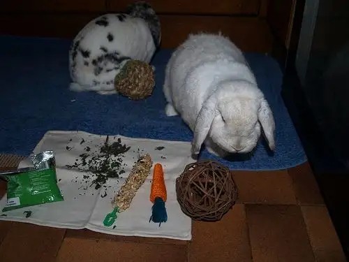 Bunny DIY How to Make Your Own Homemade Rabbit Toys