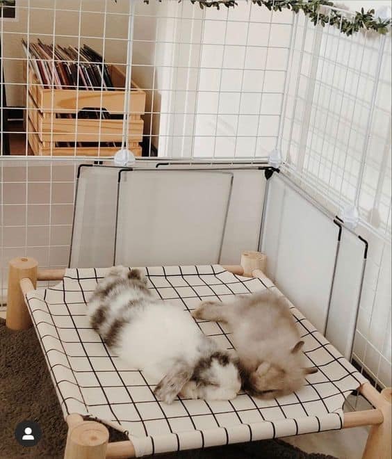 Canvas Flat Bed for Your Bunny