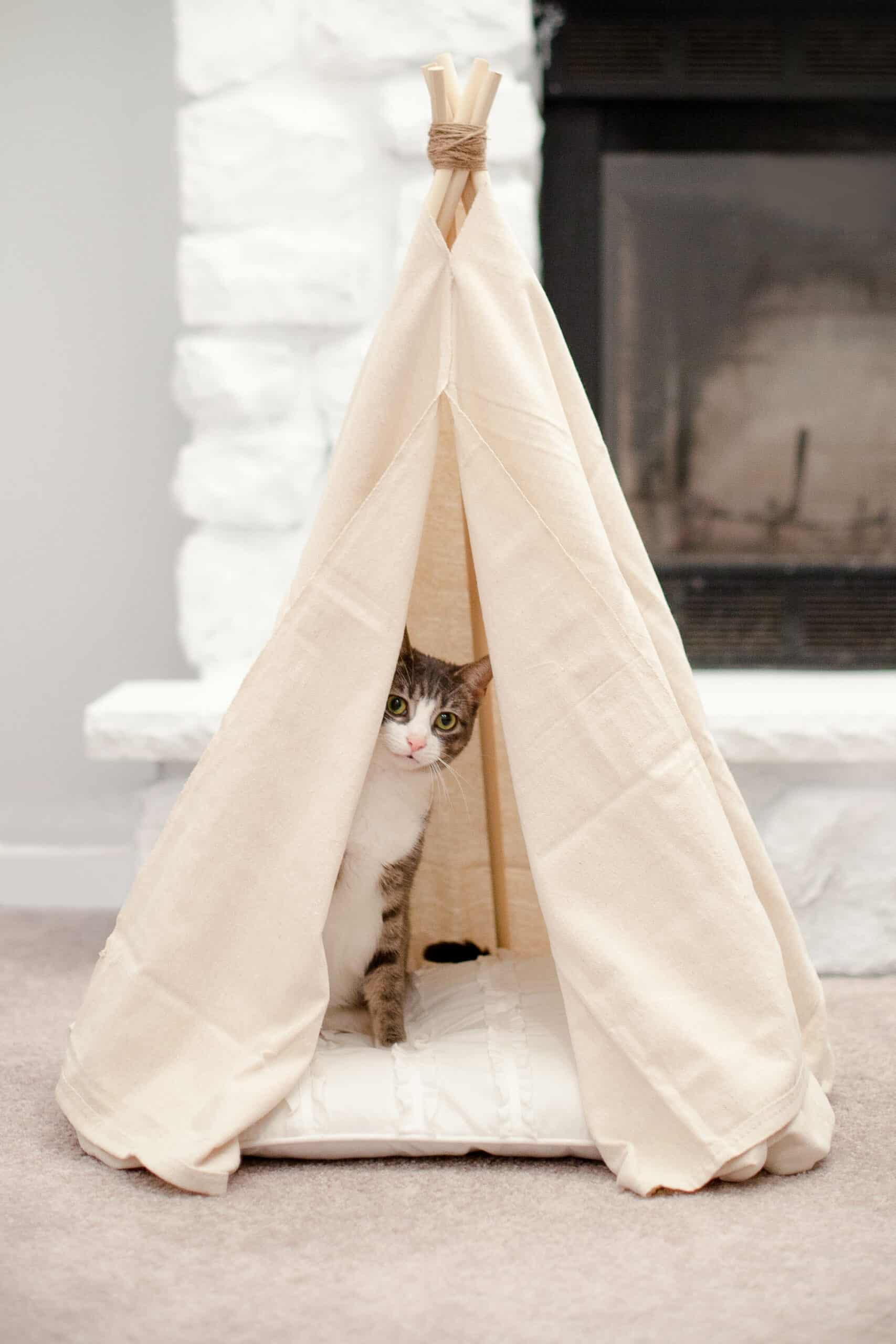 DIY No-Sew Pet Teepee Bed – Coffee with Summer