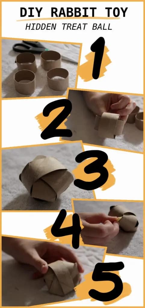 Five DIY Toilet Roll Toys for Bunnie – Amy the Bunny Lady