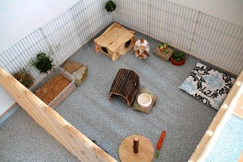 Furnished X-Pen Rabbit Room – Pinterest