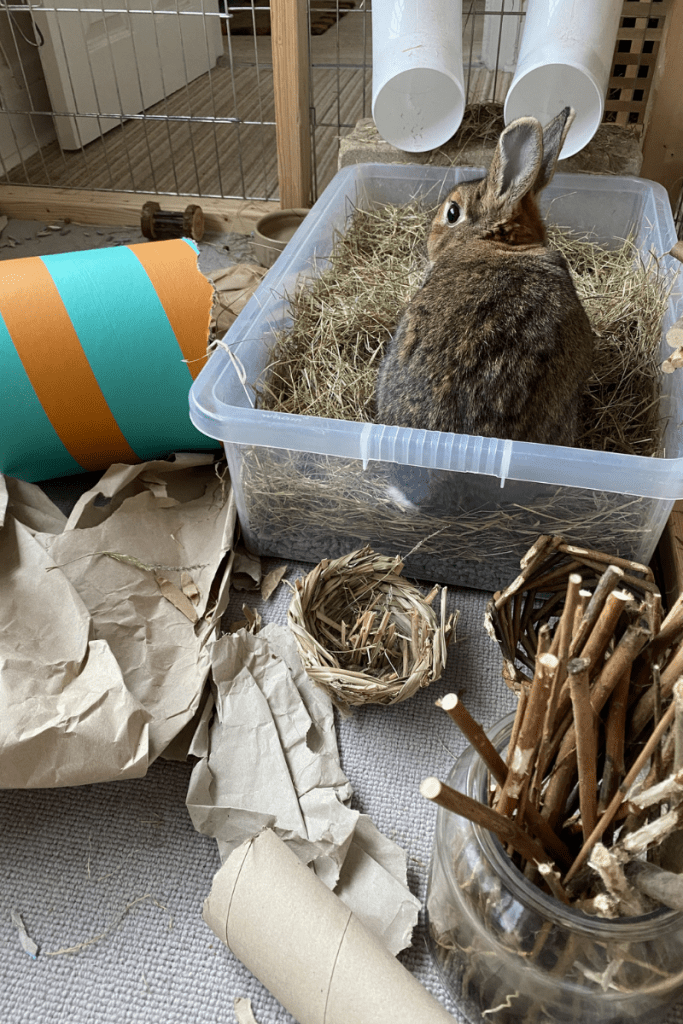 How to Make a Digging Box for a Rabbit – House Rabbit Hub