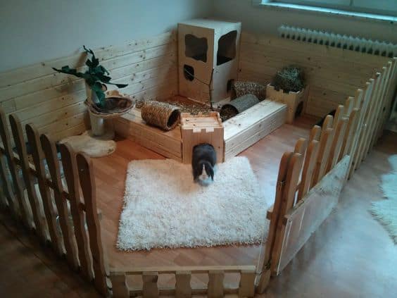 Picket Fence Fort for Your Rabbit – Pinterest