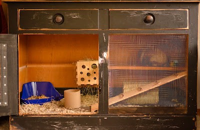 Repurposed Dresser Rabbit Room – Nikki Semro
