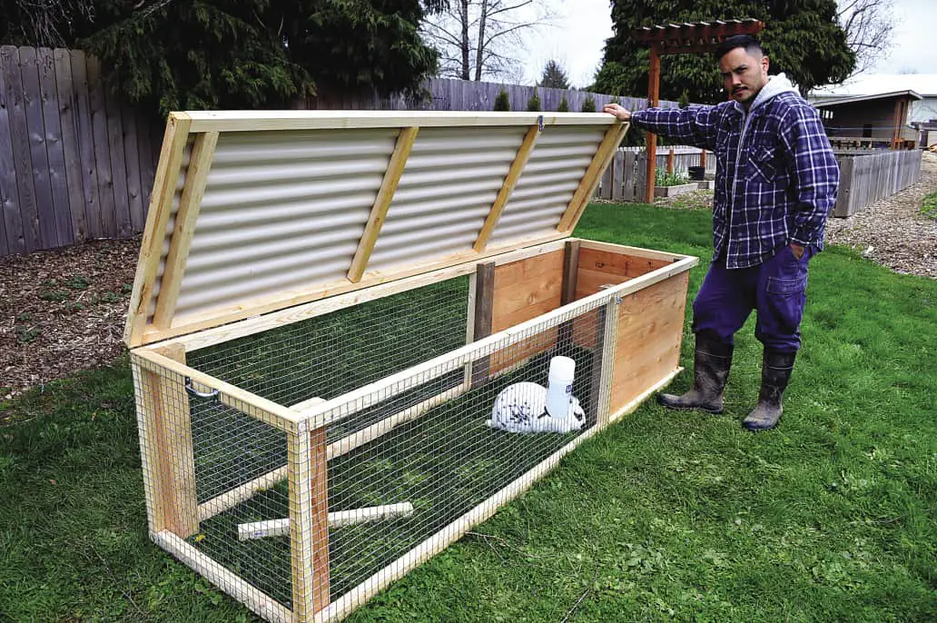 Build A Rabbit Hutch And Tractor – Self-Reliance