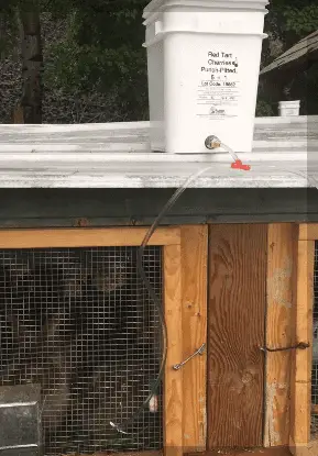 DIY Gravity Fed Rabbit Waterer - Homesteading With a View
