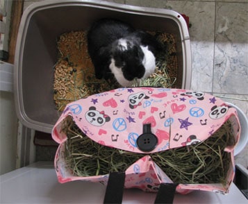 DIY Hay Bag for Rabbit – Counting Chick’ns
