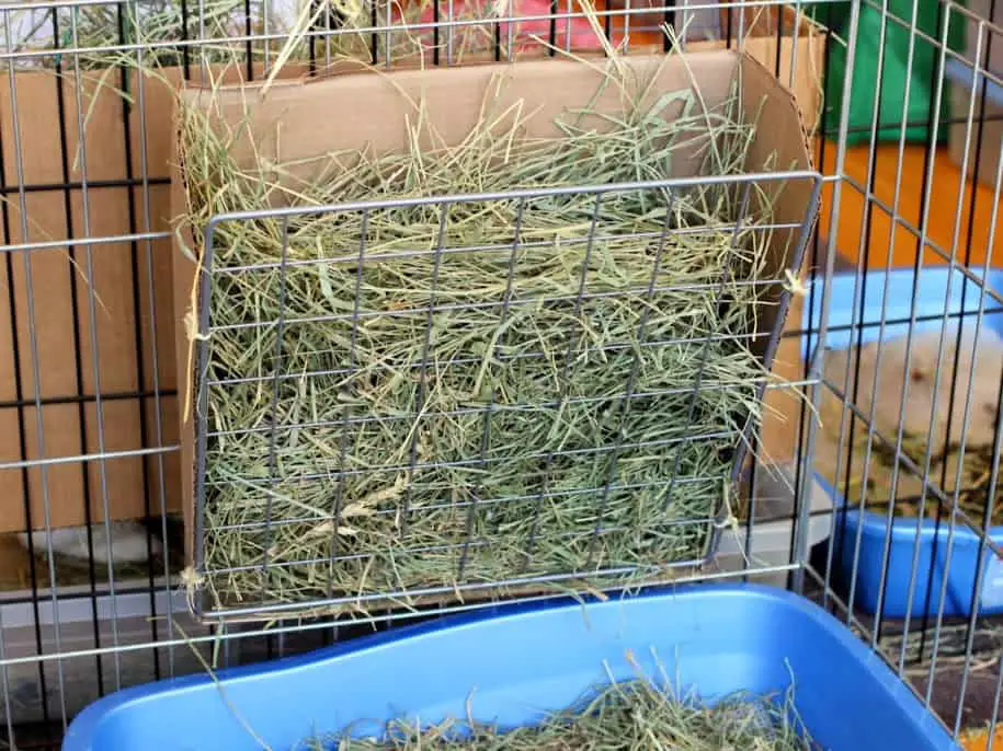 DIY Hay Rack – Coding with Bunnies