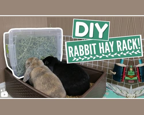 DIY Plastic Rabbit Hay Rack – Homestead Lifestyle