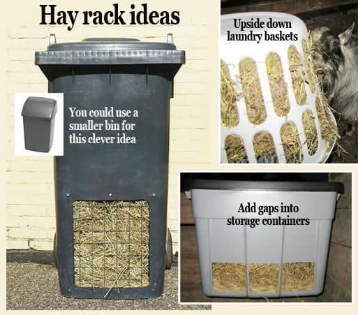 DIY Rabbit Feeders for Hay – Pinterest