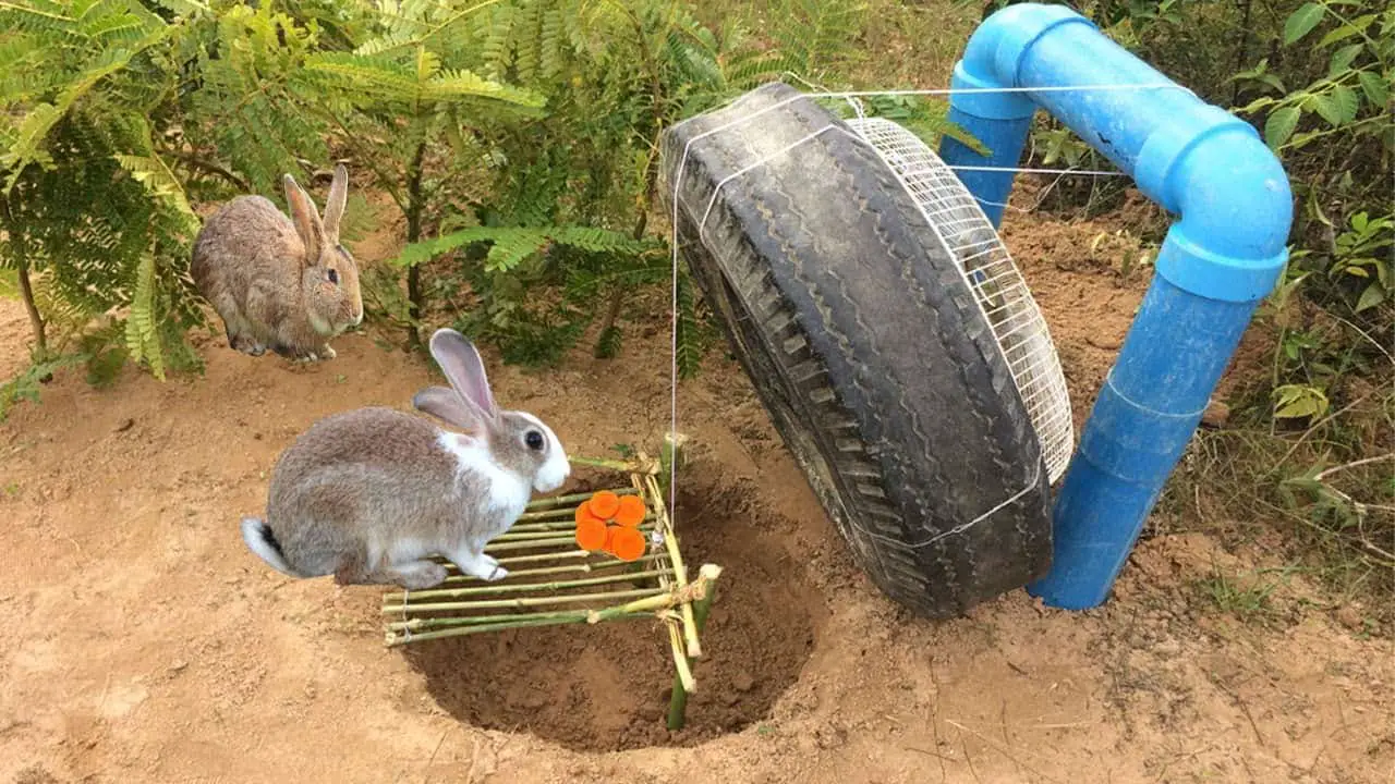 DIY Rabbit Trap with PVC, Truck Tyre, and Electric Fan Cover