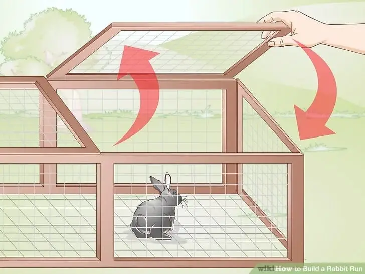 How to Build a Rabbit Run – WikiHow