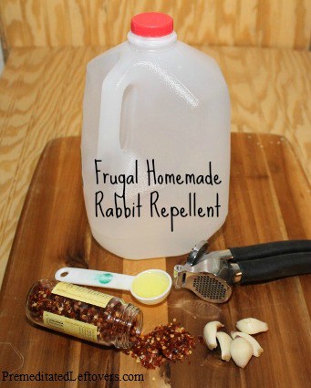 How to Make Rabbit Repellent – Premeditated Leftovers