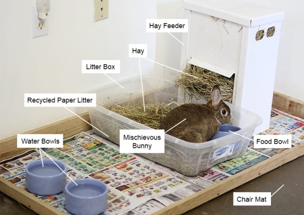 Simple Plastic DIY Rabbit Litter Box – My House Rabbit