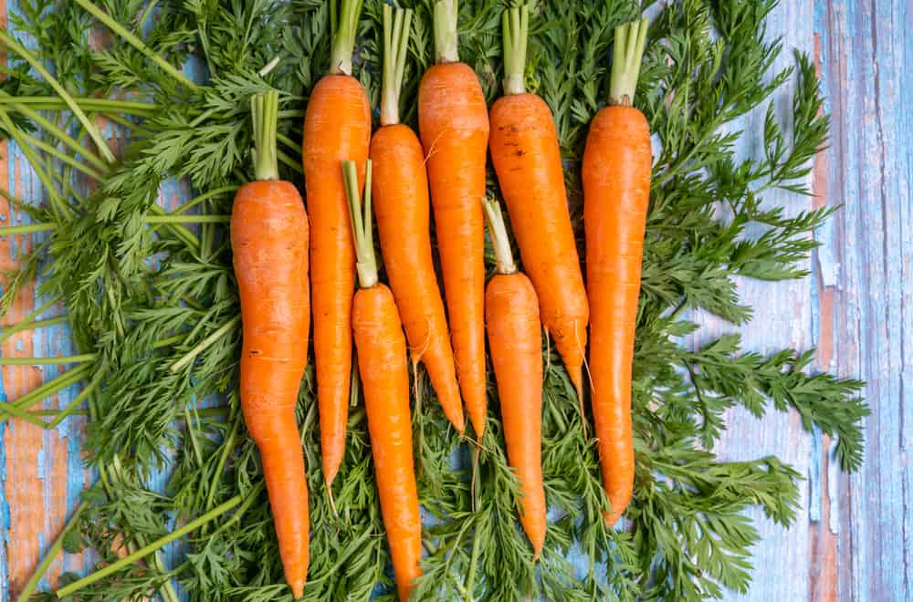 What Are Carrot Tops